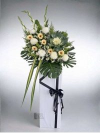 Graceful Tribute Graceful Tribute